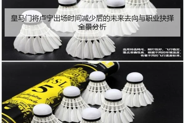 皇马门将卢宁出场时间减少后的未来去向与职业抉择全景分析
